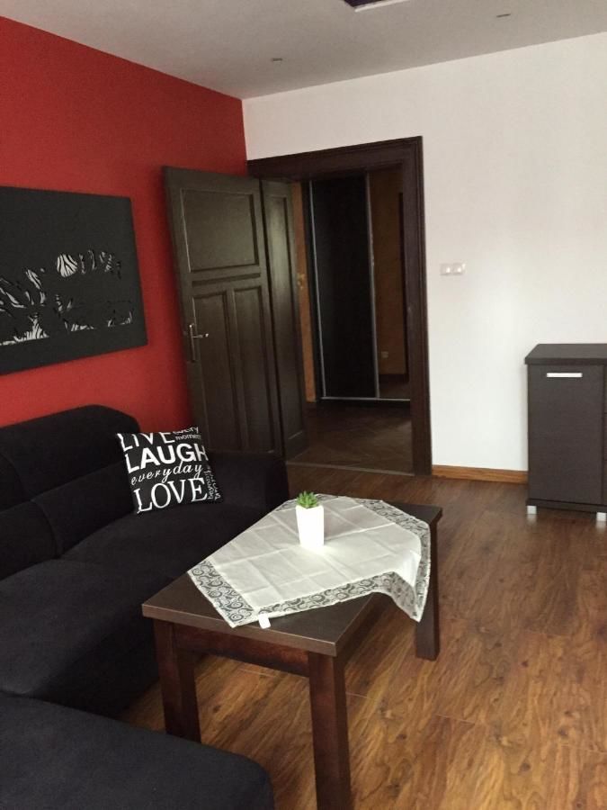 Апартаменты Apartamenty Bednarska Гливице-48